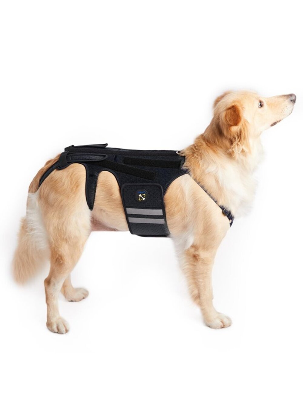 Coodeo Large Dog Back Brace for Dogs Arthritis, Pet Back Brace for IVDD, Protect